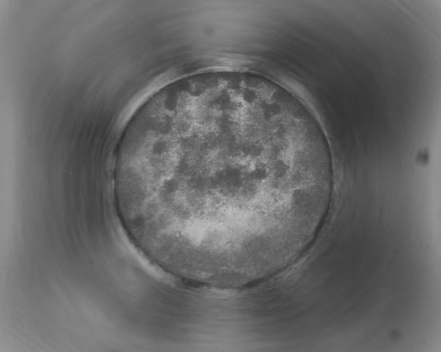 X0000113961235200910232022