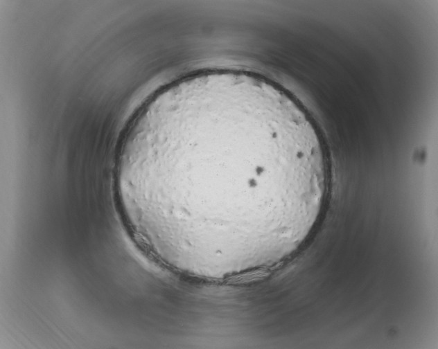 X0000113961237200910232022