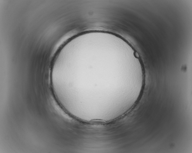 X0000113961238200910232022