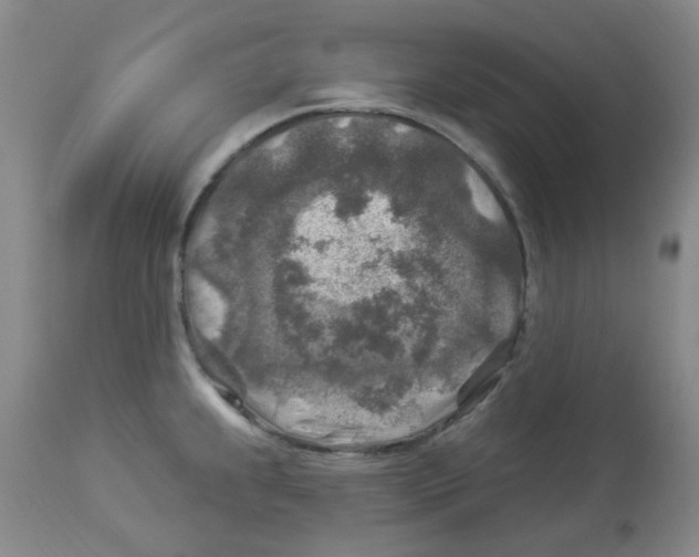 X0000113961239200910232022