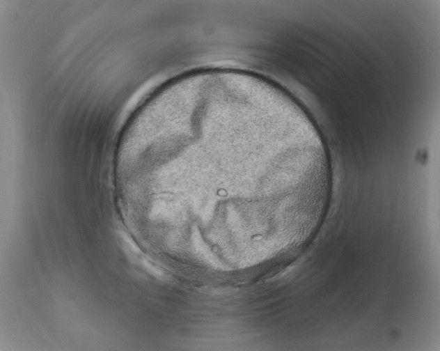 X0000113961240200910232022