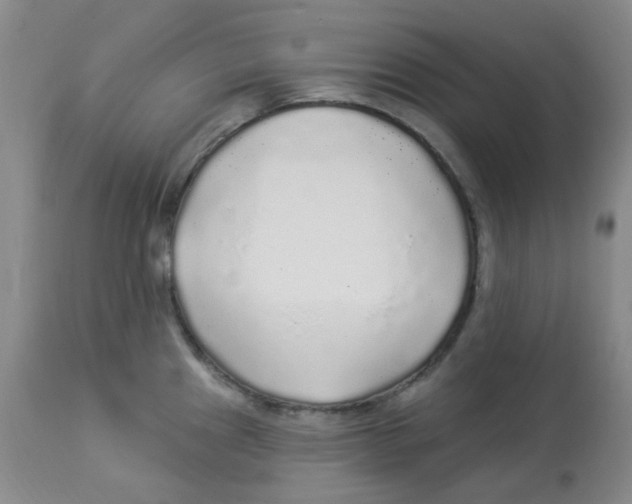 X0000113961241200910232022