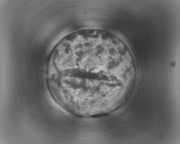 X0000113961243200910232022