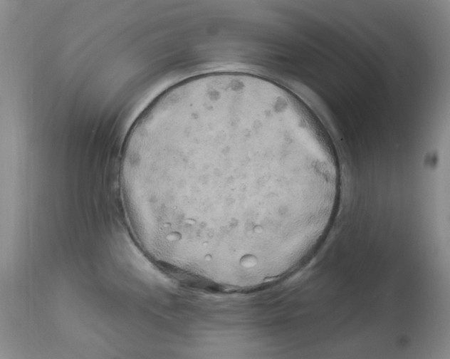 X0000113961244200910232022