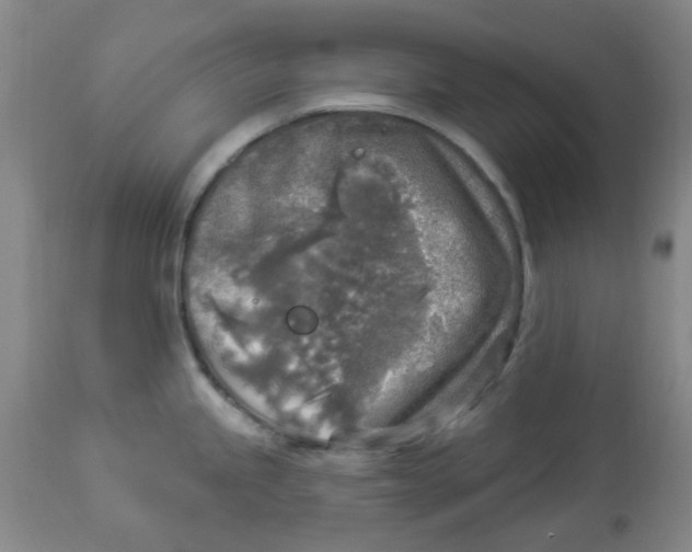 X0000113961245200910232022