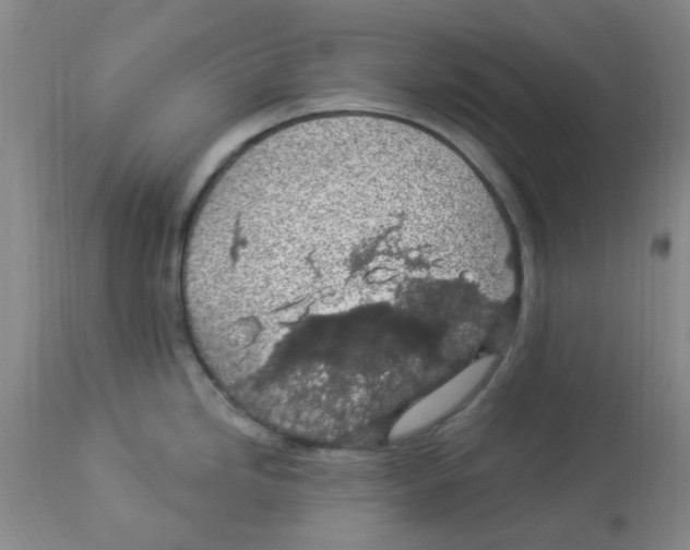 X0000113961246200910232022