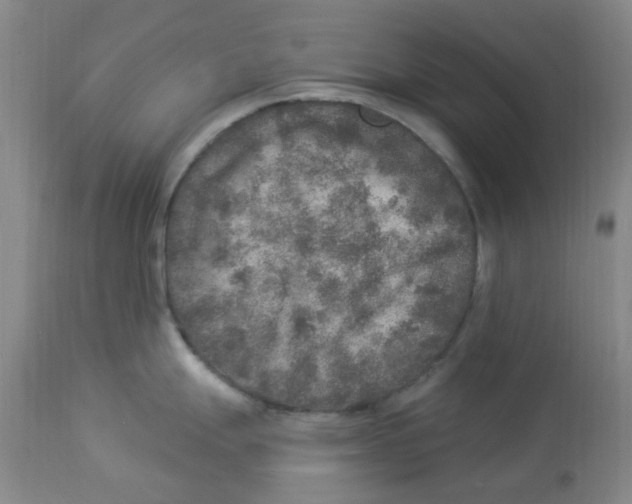 X0000113961247200910232022