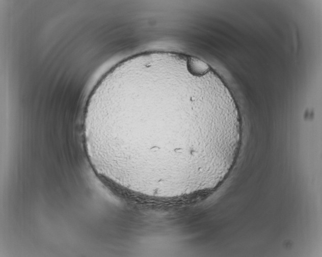 X0000113961248200910232022