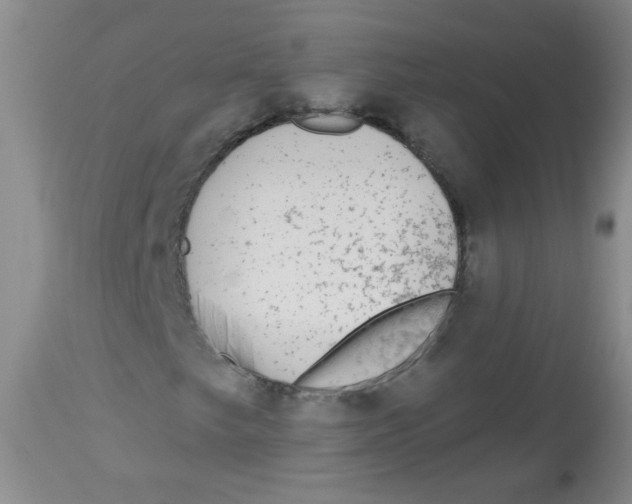 X0000113961249200910232021