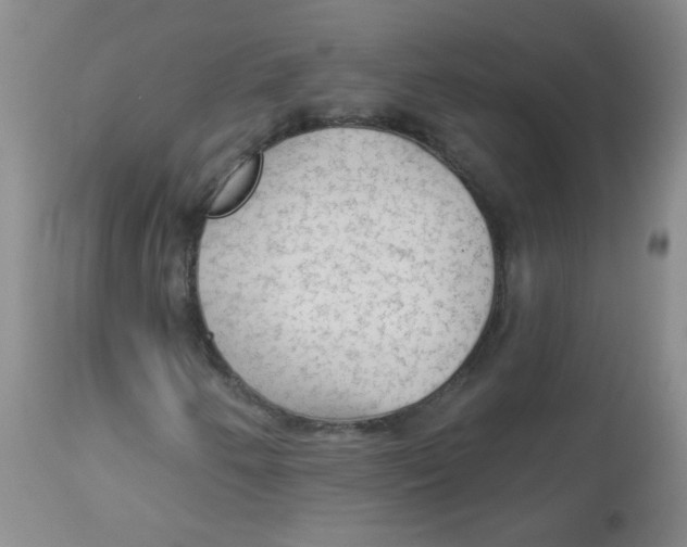 X0000113961250200910232021