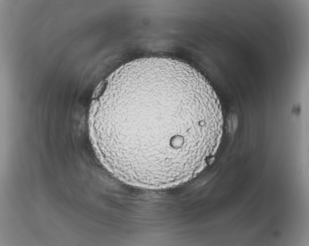 X0000113961251200910232021