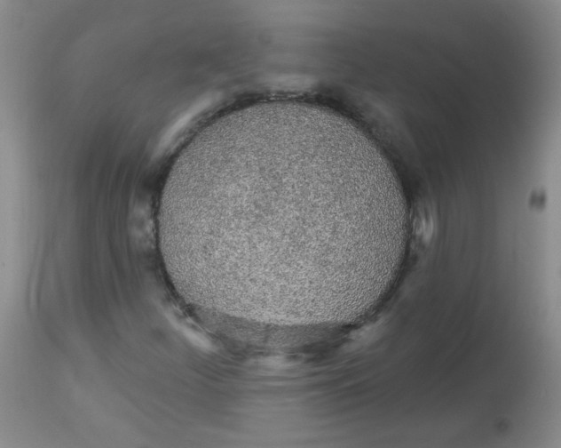 X0000113961252200910232021