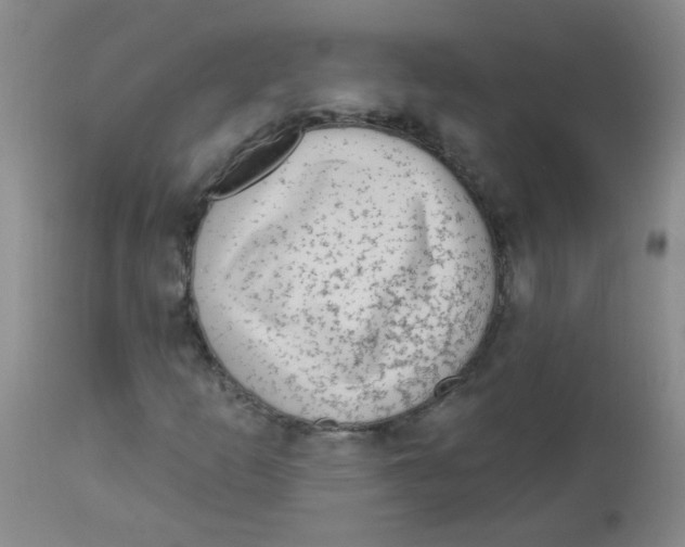 X0000113961253200910232021