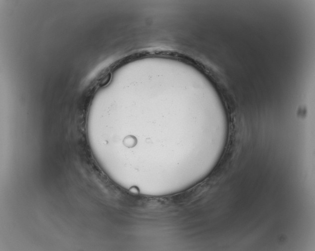 X0000113961255200910232021