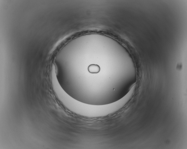 X0000113961256200910232021