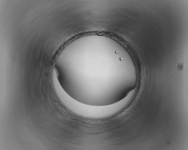 X0000113961257200910232021