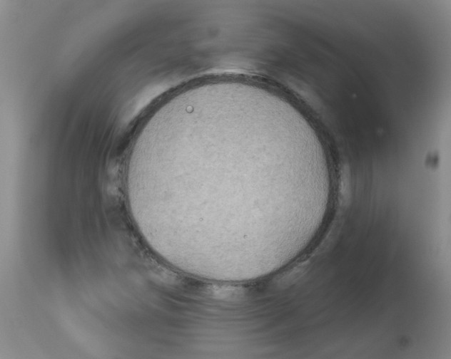 X0000113961258200910232021