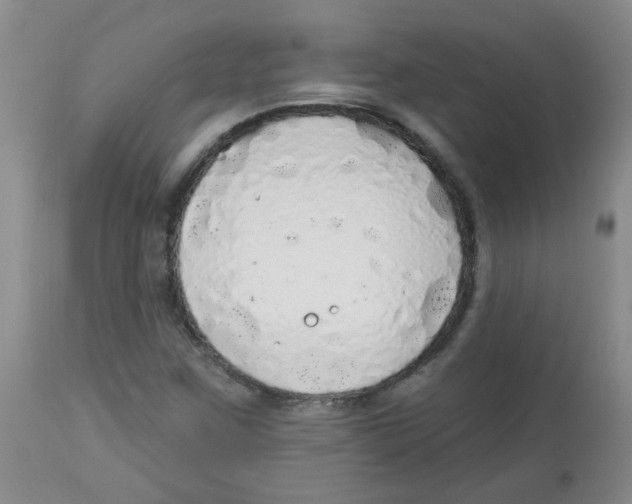 X0000113961259200910232021