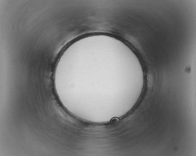 X0000113961260200910232021