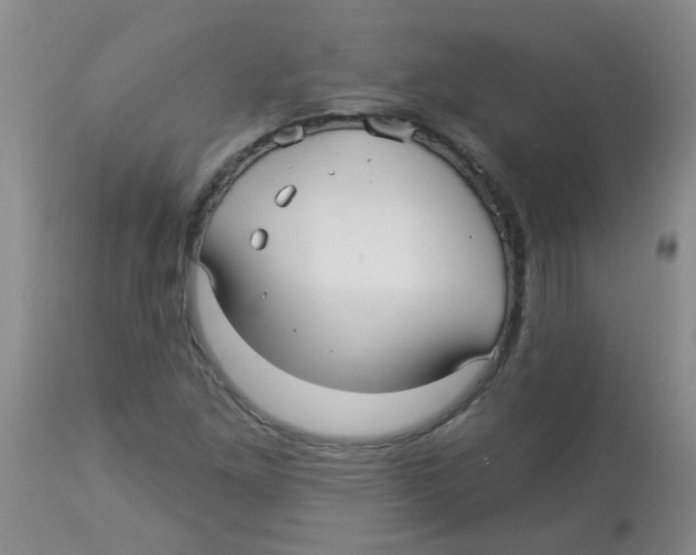 X0000113961261200910232021