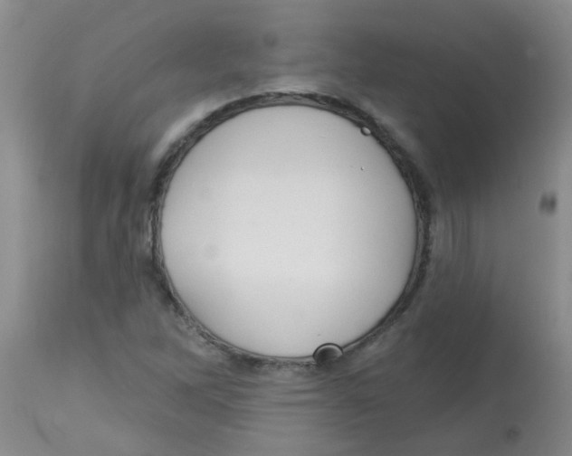 X0000113961262200910232021