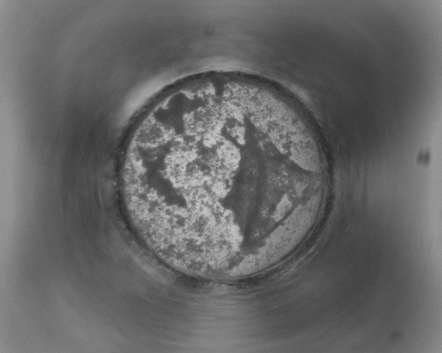 X0000113961263200910232021