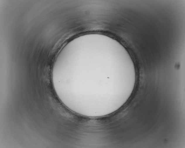 X0000113961265200910232021