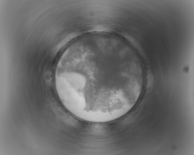 X0000113961266200910232021