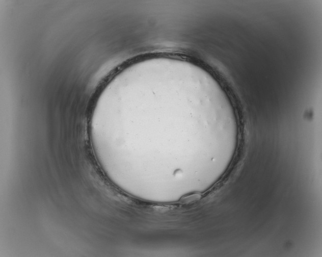 X0000113961267200910232021