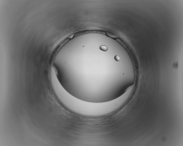 X0000113961269200910232021