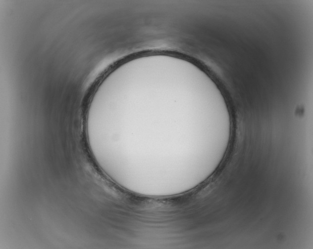 X0000113961270200910232021