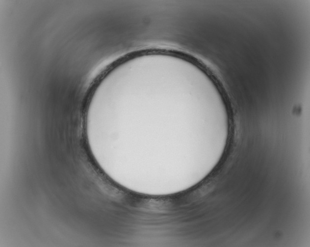 X0000113961271200910232021