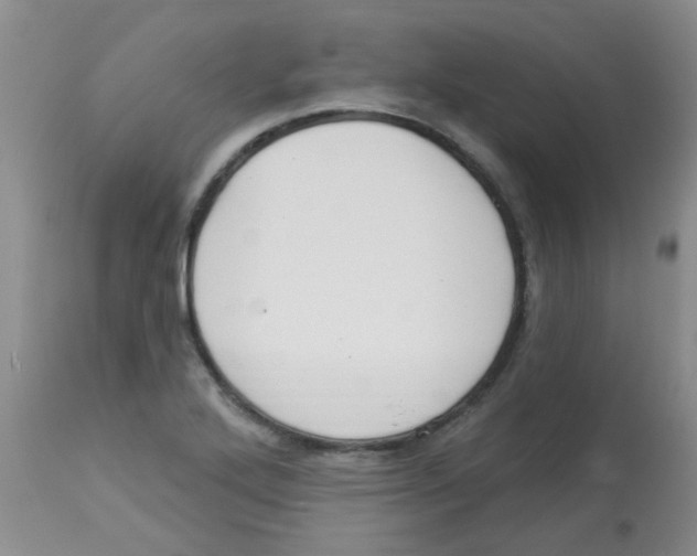 X0000113961272200910232021