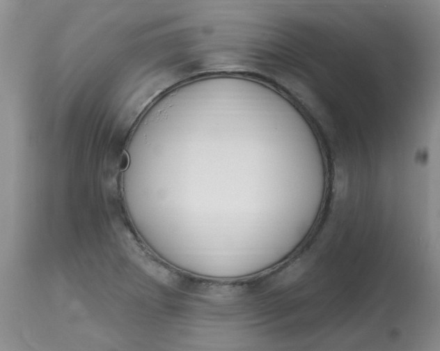 X0000113961273200910232021