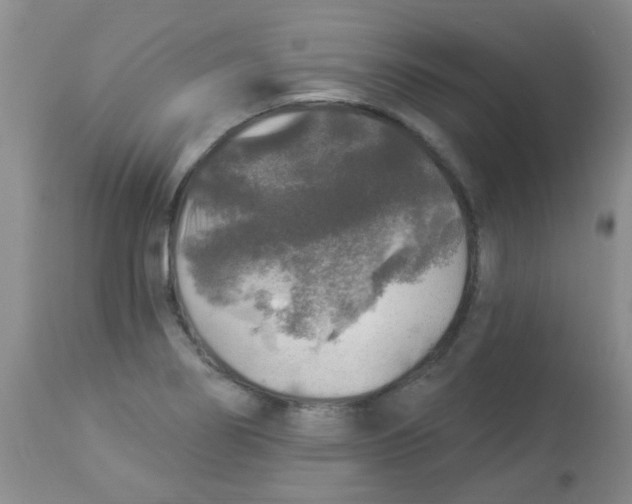 X0000113961274200910232021