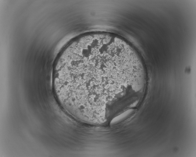 X0000113961275200910232021