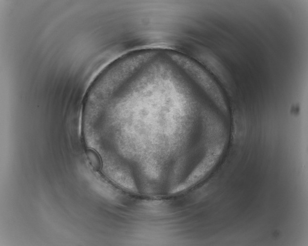 X0000113961276200910232021