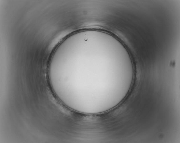 X0000113961277200910232021