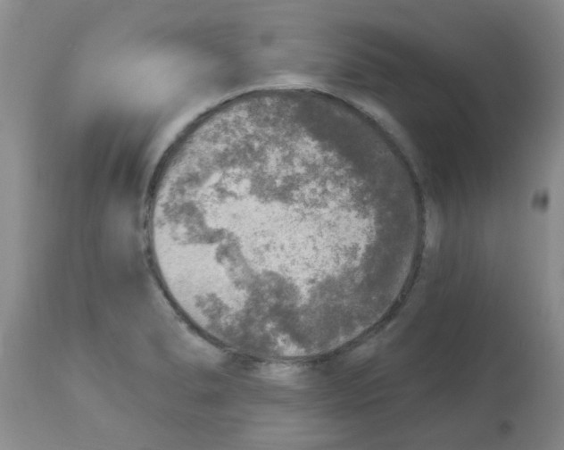 X0000113961278200910232021