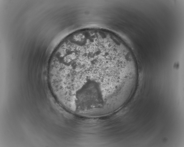 X0000113961279200910232021