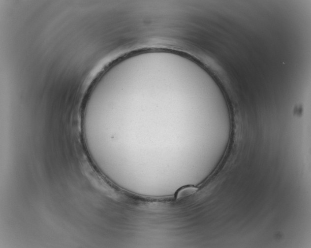 X0000113961280200910232021