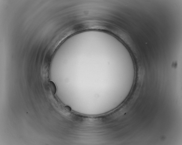 X0000113961281200910232021