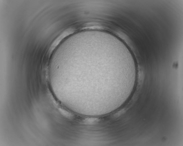 X0000113961282200910232021