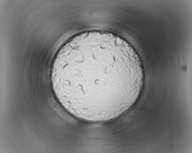 X0000113961283200910232021