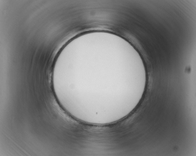 X0000113961284200910232021