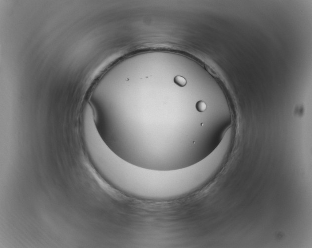 X0000113961285200910232021