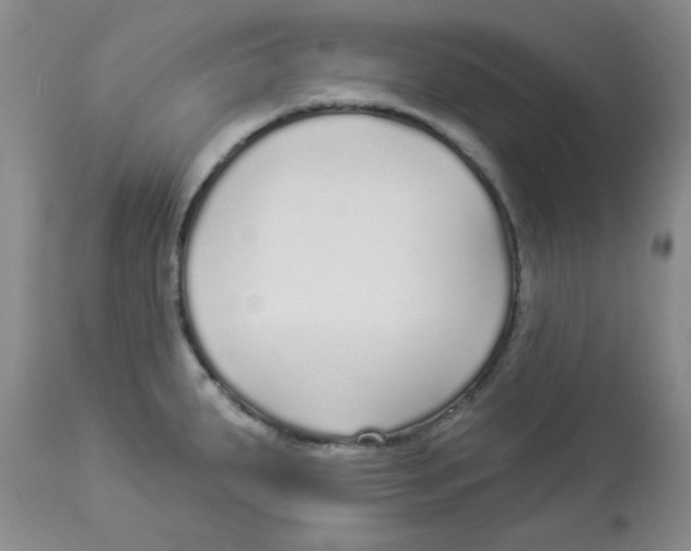 X0000113961287200910232021