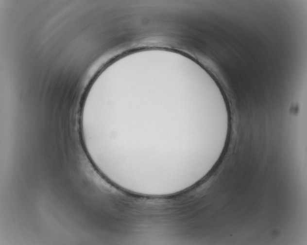 X0000113961288200910232021