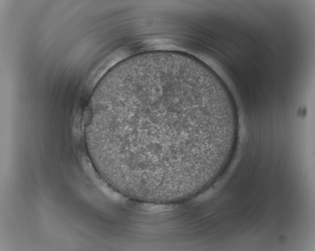 X0000113961289200910232021