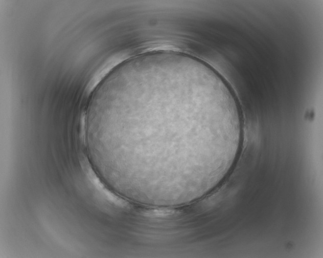 X0000113961290200910232021